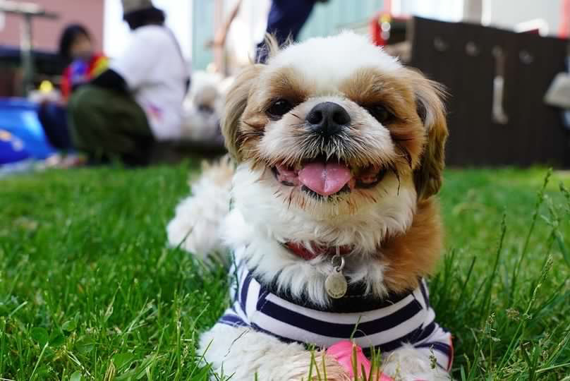 テストと親の関わり方、中高生クラス🍕🍿ご褒美パーティ😊待ち遠しいね